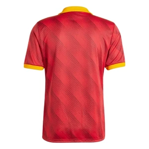 Fotbalové Dresy AS Roma Fourth 2024/25