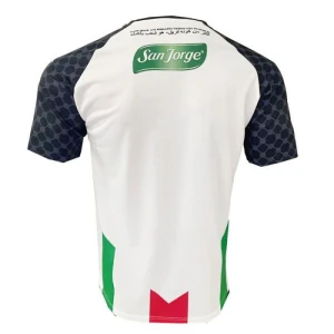 Fotbalové Dresy CD Palestino Domácí 2025/26
