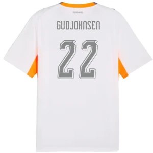 Fotbalové Dresy Island Gudjohnsen #22 Venkovní 2026