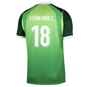 Fotbalové Dresy Nigérie Fernandez #18 Domácí 2026