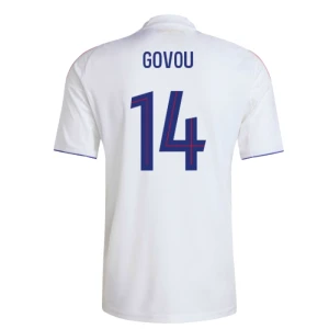 Fotbalové Dresy Olympique Lyonnais Govou #14 Domácí 2025/26