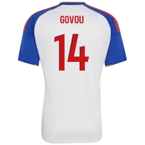 Fotbalové Dresy Olympique Lyonnais Govou #14 Domácí 2026-27