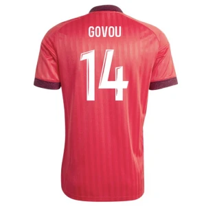 Fotbalové Dresy Olympique Lyonnais Govou #14 Venkovní 2026-27