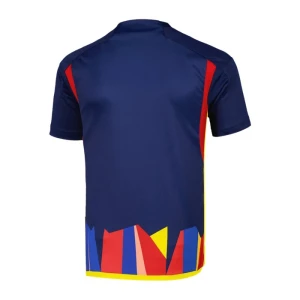 Fotbalové Dresy Olympique Lyonnais Třetí 2023/24