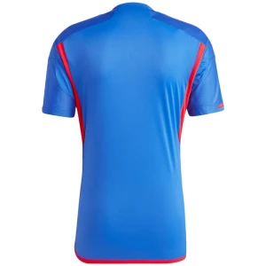 Fotbalové Dresy Olympique Lyonnais Venkovní 2023/24