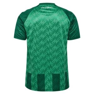 Fotbalové Dresy Werder Bremen Domácí 2024/25